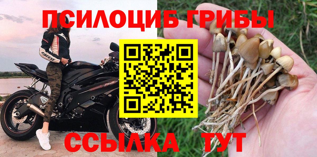Псилоцибиновые грибы GOLDEN TEACHER  Галлюциногенные грибы Magic Shrooms  Каспийск  Вход с VPN 