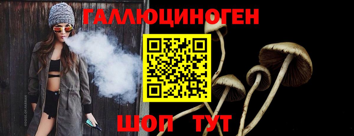 Псилоцибиновые грибы ЛСД Каспийск